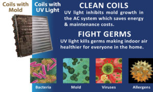 jacksonville heating cooling coils with mold vs clean coils